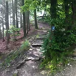 Sayn Bei Koblenz *