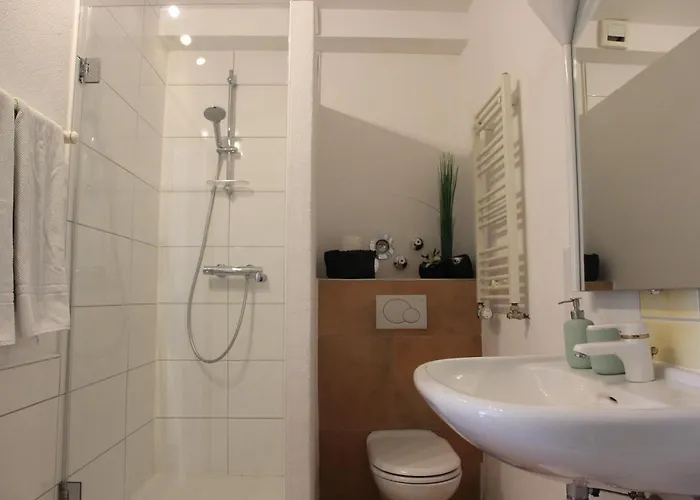 公寓 Sayn Bei Koblenz 本多夫