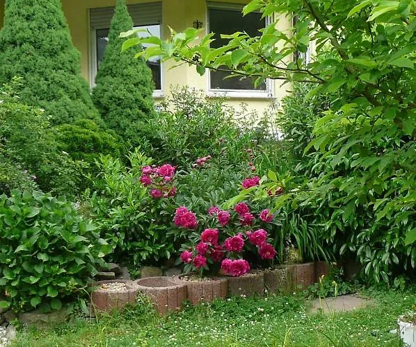 Sayn Bei Koblenz 本多夫