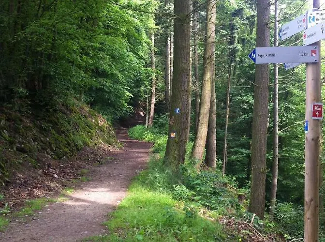 Sayn Bei Koblenz 公寓